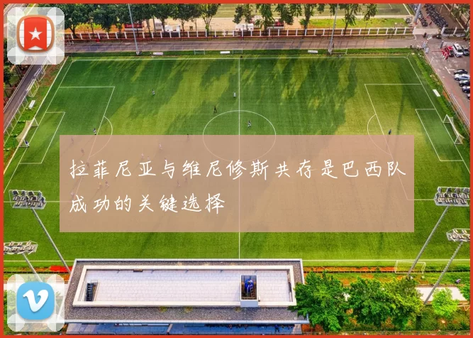 拉菲尼亚与维尼修斯共存是巴西队成功的关键选择