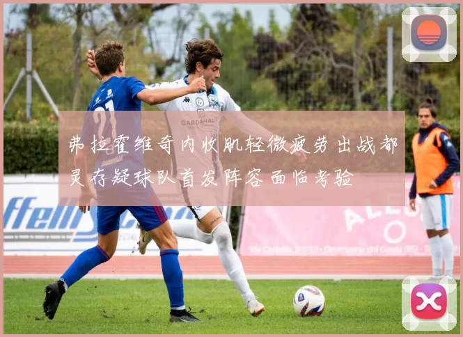 弗拉霍维奇内收肌轻微疲劳出战都灵存疑球队首发阵容面临考验