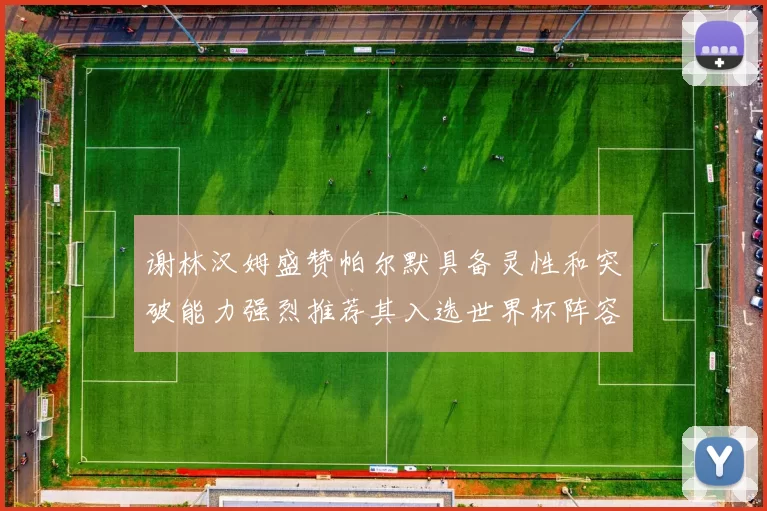 谢林汉姆盛赞帕尔默具备灵性和突破能力强烈推荐其入选世界杯阵容